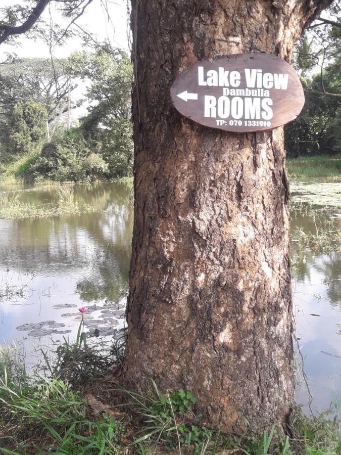 Lake View Дамбулла Екстер'єр фото